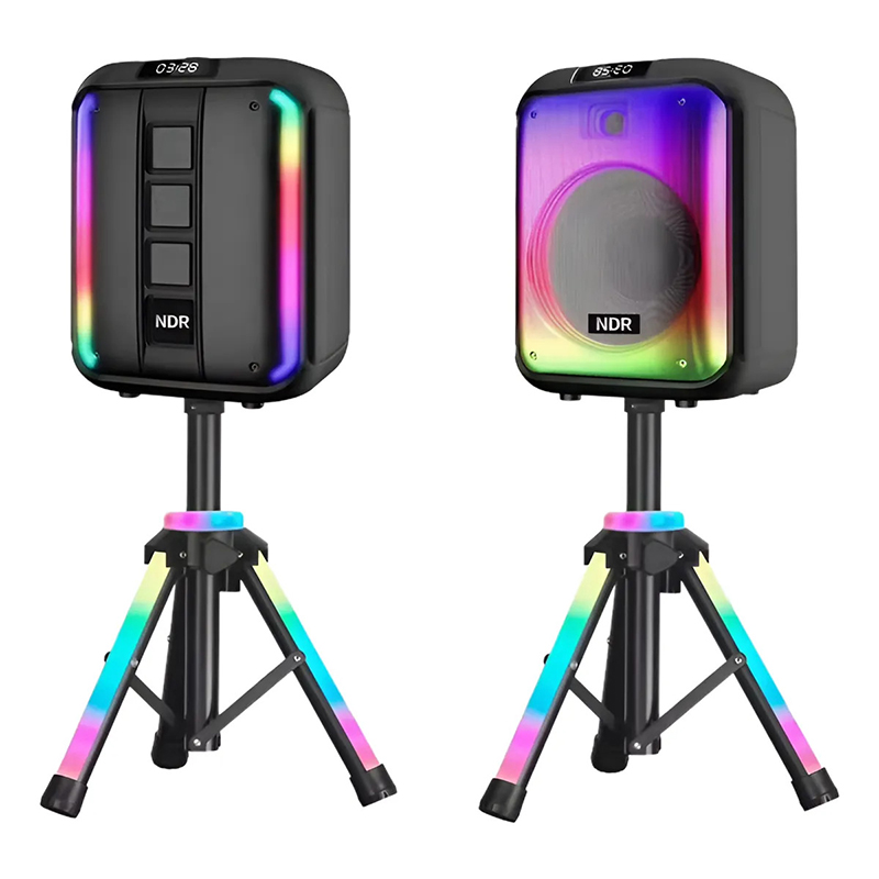 Simsiz Portativ Dinamik Bluetooth HiFi LED RGB İşıqlı 12 düym NDR-102A/B
