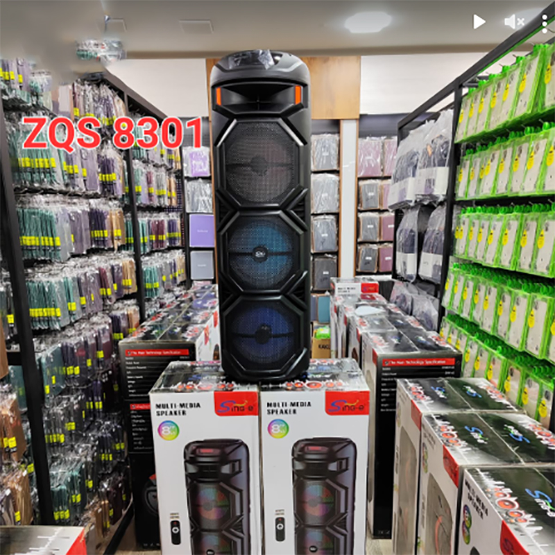 Simsiz Portativ Dinamik Bluetooth LED RGB İşıqlı ZQS8301