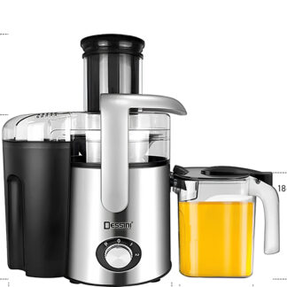 Şirəçəkən Dessini DS-1103