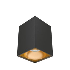 Spot GU10 Braytron BH04-00111 IP20