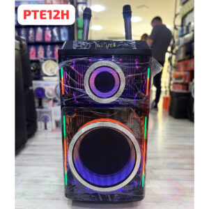 Dinamik Spiker Sabvufer Bluetooth Simsiz Torima PTE12H